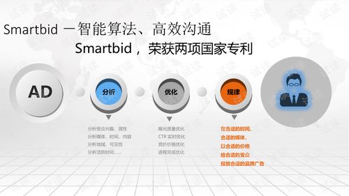 互聯(lián)網(wǎng) 智慧營銷大數(shù)據(jù)平臺建設(shè)方案.ppt